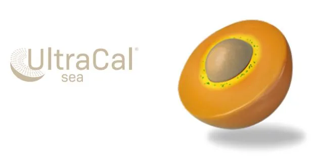 Calcium-Sea (Sucrosomial®)