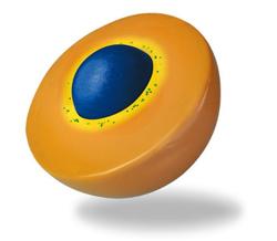 Sucrosomial Technology